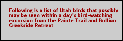 Text Box: Following is a list of Utah birds that possibly may be seen within a days bird-watching excursion from the Paiute Trail and Bullion Creekside Retreat
