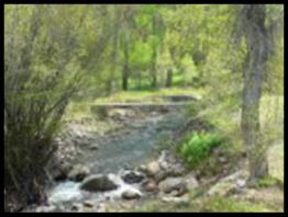 Pine Creek by Bullion Creekside Retreat near Marysvale Utah