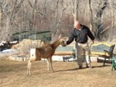 Bryan Burrell visits with wild friend