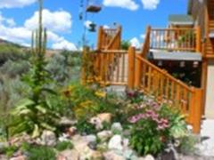 Rock Garden