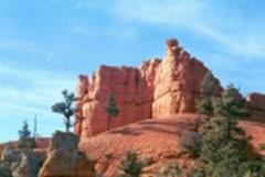 Red Canyon Day Trip