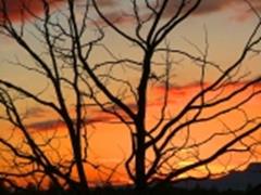 Sunset from outdoor fireplace