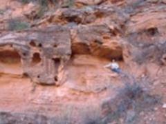 Ana Burrell at Calf Creek Falls trail