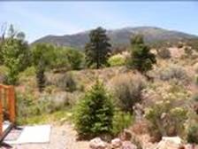 California Gulch view
