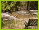 Pine Creek in Bullion Canyon near the Cabin at Bullion Creekside Retreat.