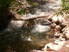 Fishable pool in Bullion Canyon