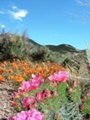 Elbow Ranch Trail