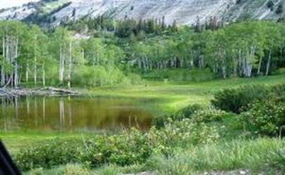 Summer Paiute Trail