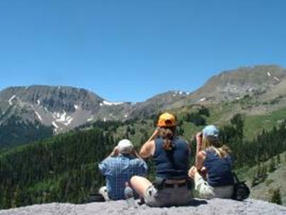 Paiute Trail wildlife watching