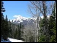Winter Trail in the Tushar Mountains