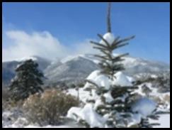 Winter View of Copperbelt Mountain