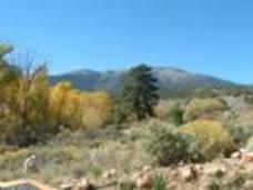 Looking toward California Gulch of the Tusher Range near the Paiute Trail