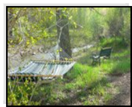 Pine Creek in Bullion Canyon by Bullion Creekside Retreat near the Paiute Trail