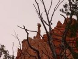 Lone Hoodoo Utah