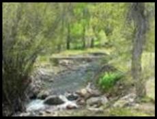 Bullion Creek
