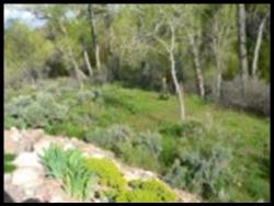 Outside the Bullion Creekside Rental Cabin