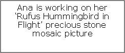 Text Box: Ana is working on her Rufus Hummingbird in Flight precious stone mosaic picture