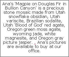 Text Box: Anas Magpie on Douglas Fir in Bullion Canyon is a precious stone mosaic made from Utah snowflake obsidian, Utah variscite, Brazilian sodalite, Utah Blood of God red agate, Oregon green moss agate, wyoming jade, white magnesite, and Oregon gray picture jasper. . Anas pictures are available to buy at our office.