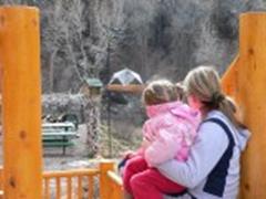 Guest watching winter songbirds